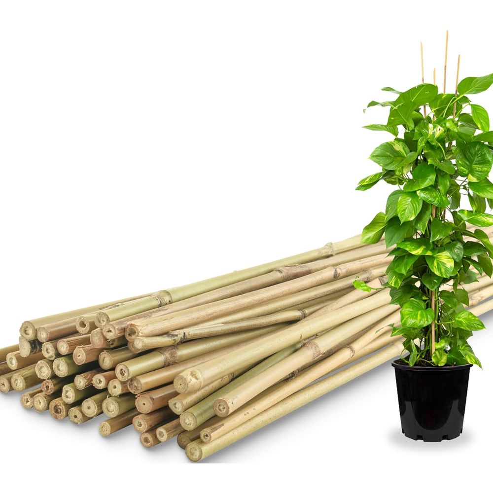 Plant Support Stake - 50 Pack Bamboo Plant Stakes for