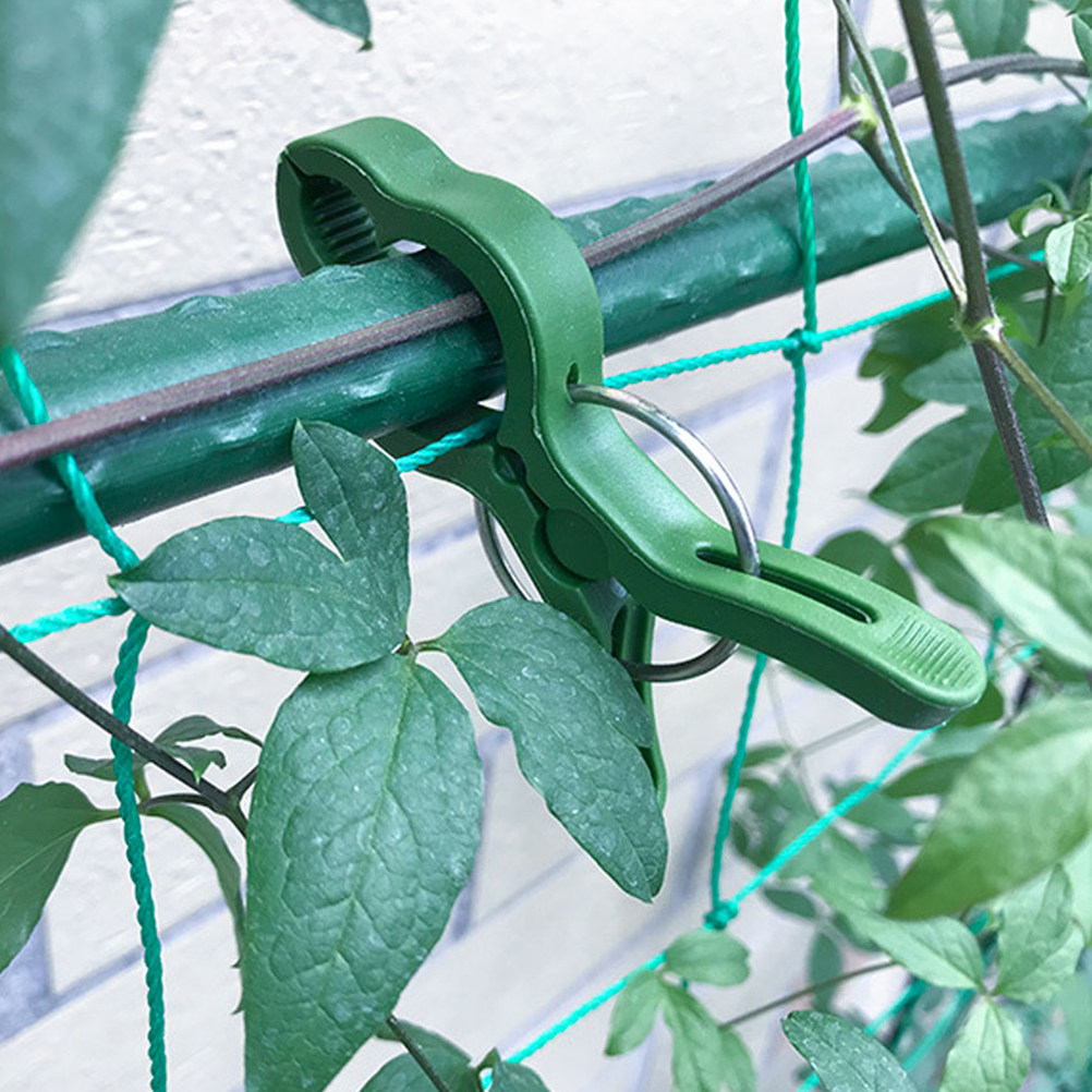 Plant Support Stake - 60Pcs Plant Support Clips for Climbing