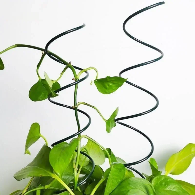 Climbing Plant Support Stake S - Plant Support Stake 评论和价格