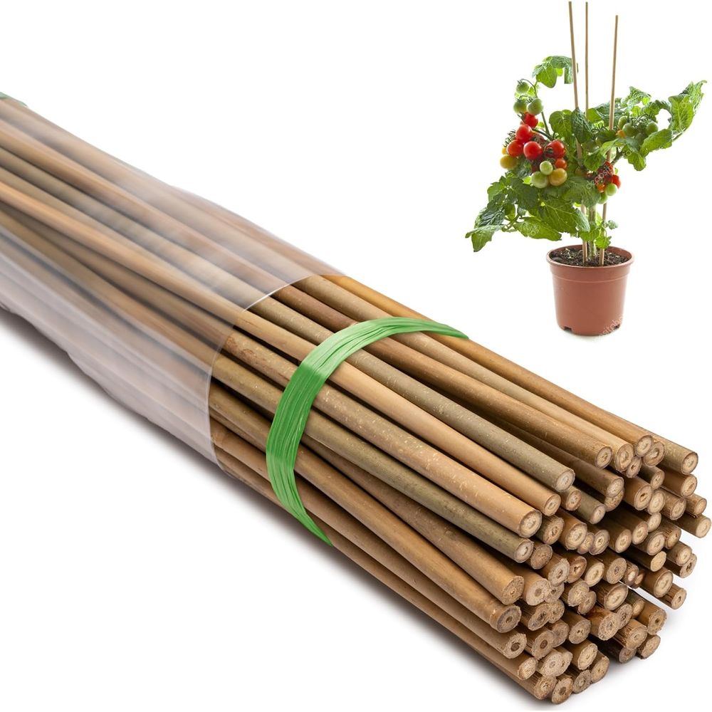 70-Pack 4-Foot Natural Bamboo  - Plant Support Stake 评论和价格
