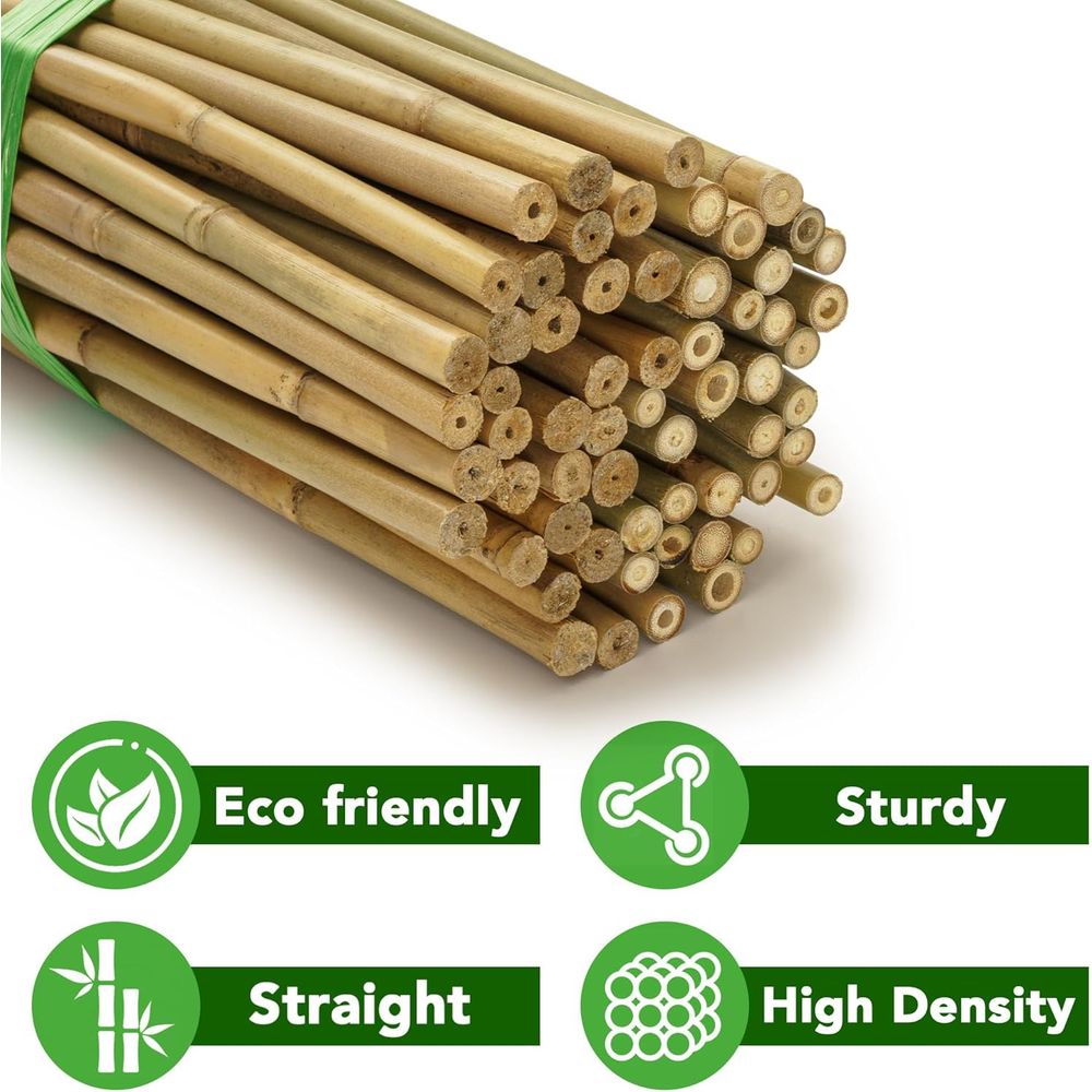 70-Pack 4-Foot Natural Bamboo  - Plant Support Stake 评论和价格