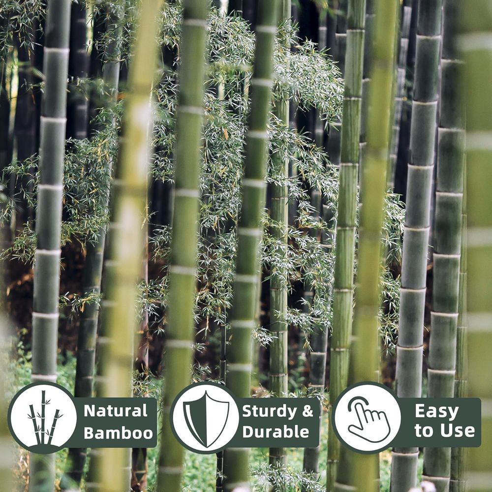 50 Pack Bamboo Plant Stakes fo - Plant Support Stake 评论和价格