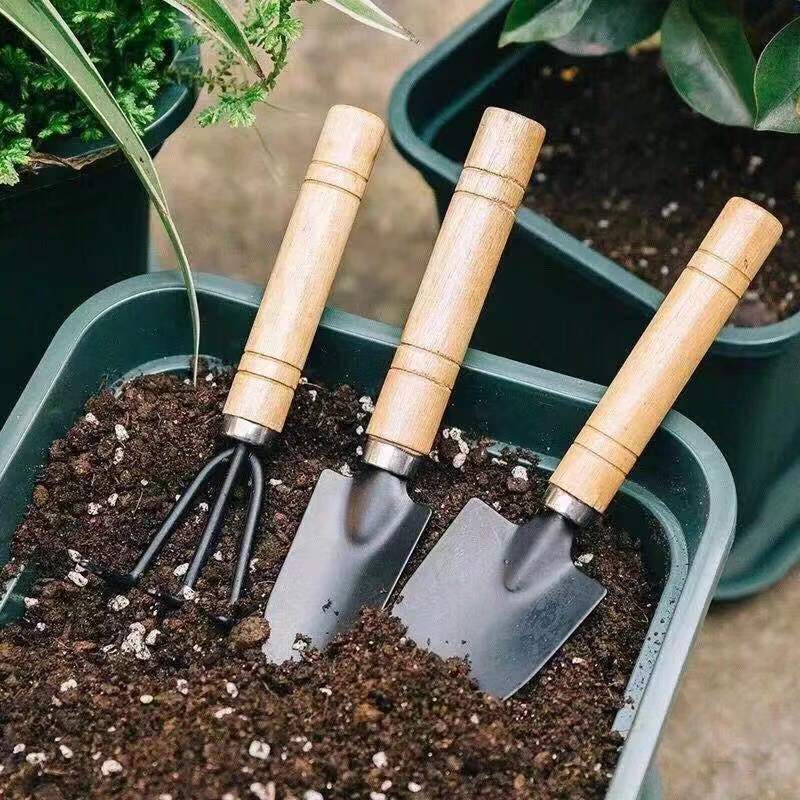 3Pcs Mini Gardening Tool Set w - Gardening Tools Shovel 评论和价格