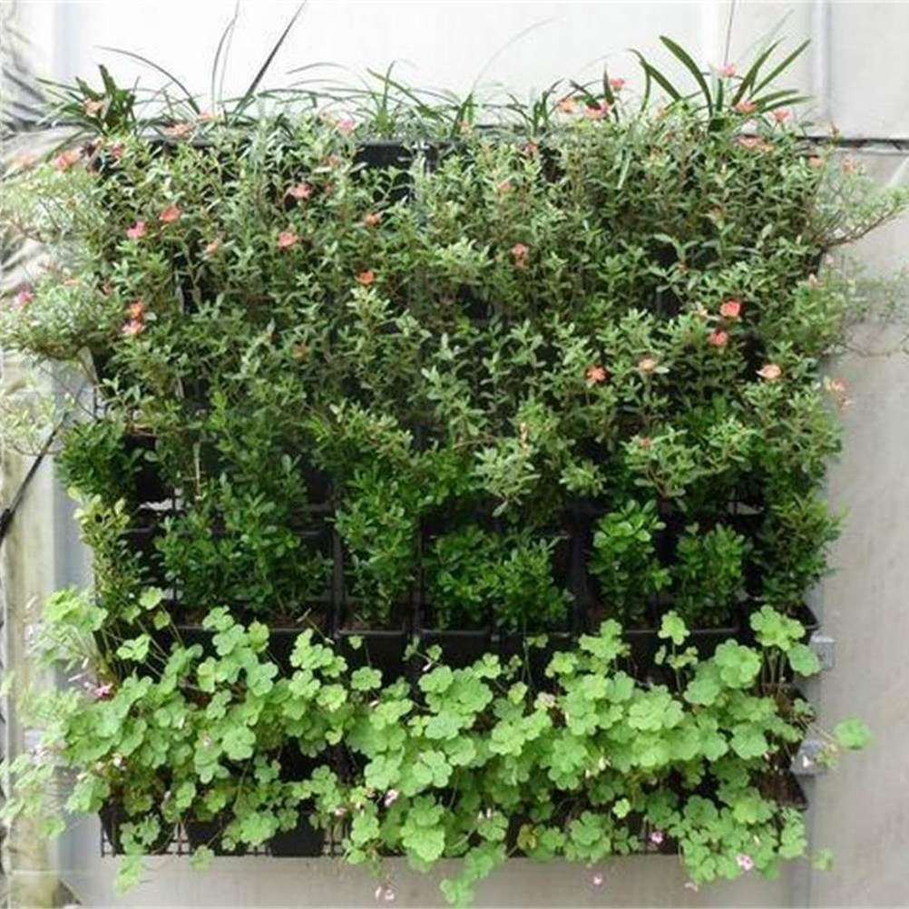 1Pcs Felt Wall Hanging Plant B - Outdoor Planting Bag 评论和价格