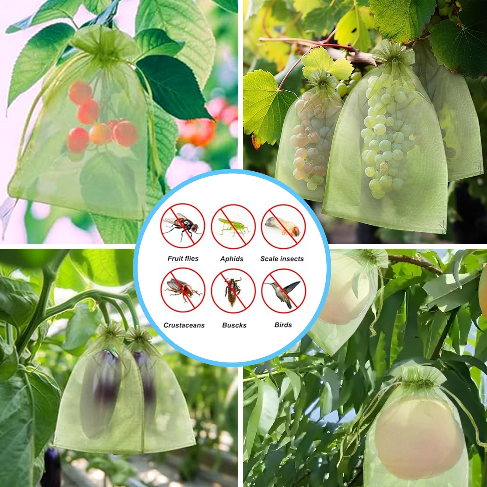 Effective Anti-Bird Netting Fr - Outdoor Planting Bag 评论和价格