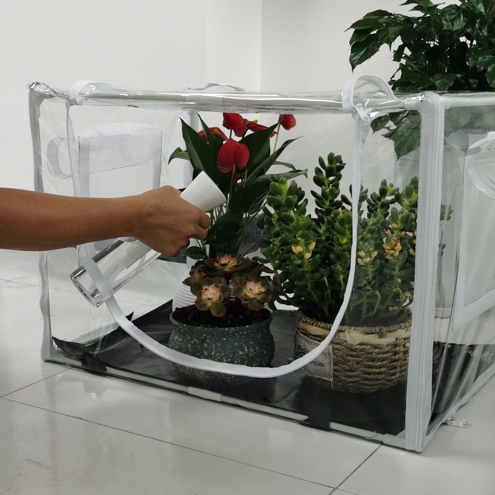Compact Indoor/Outdoor Greenho - Outdoor Planting Bag 评论和价格