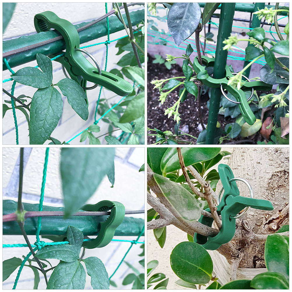 60Pcs Plant Support Clips for  - Plant Support Stake 评论和价格
