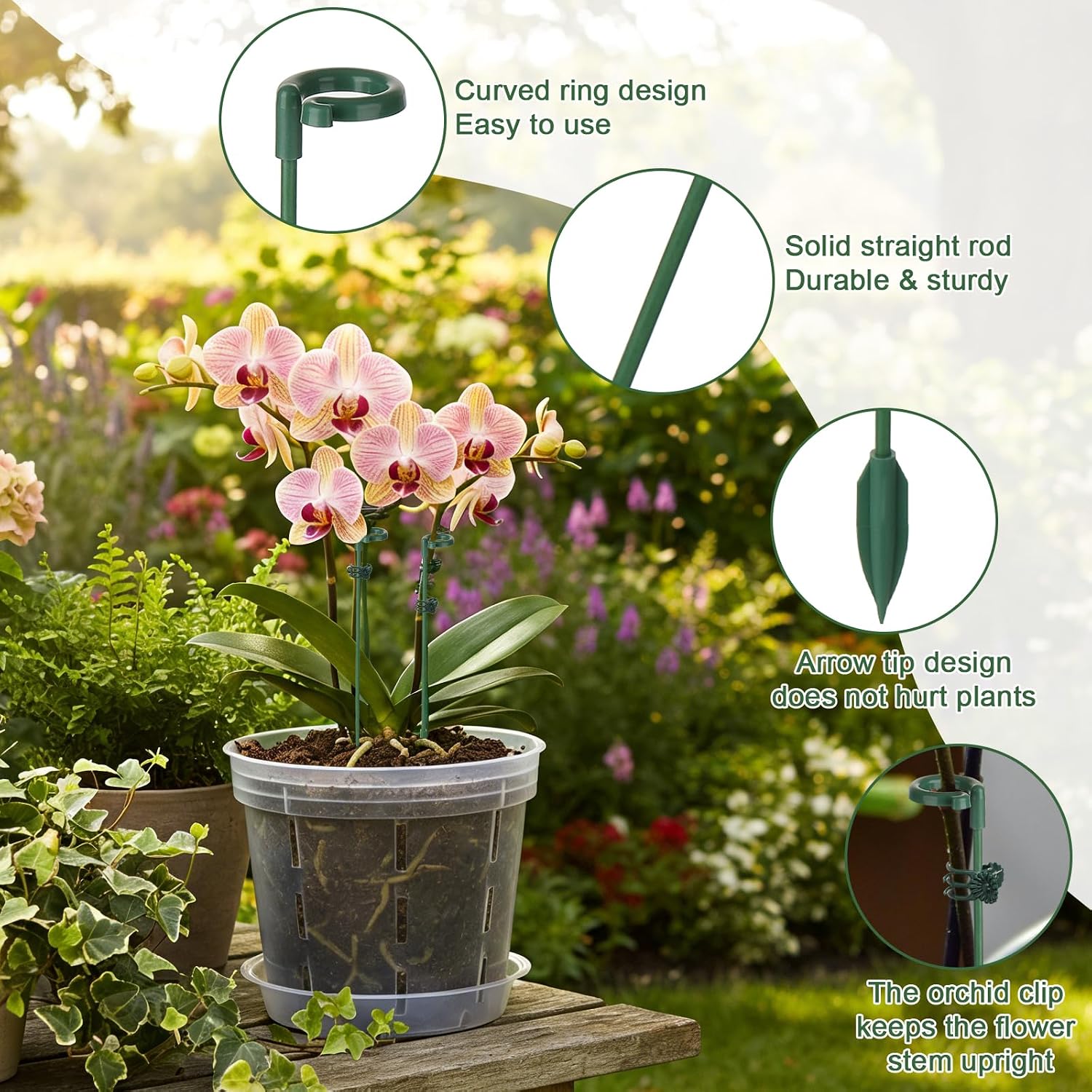 5/10pcs Plant Support Stakes P - Plant Support Stake 评论和价格