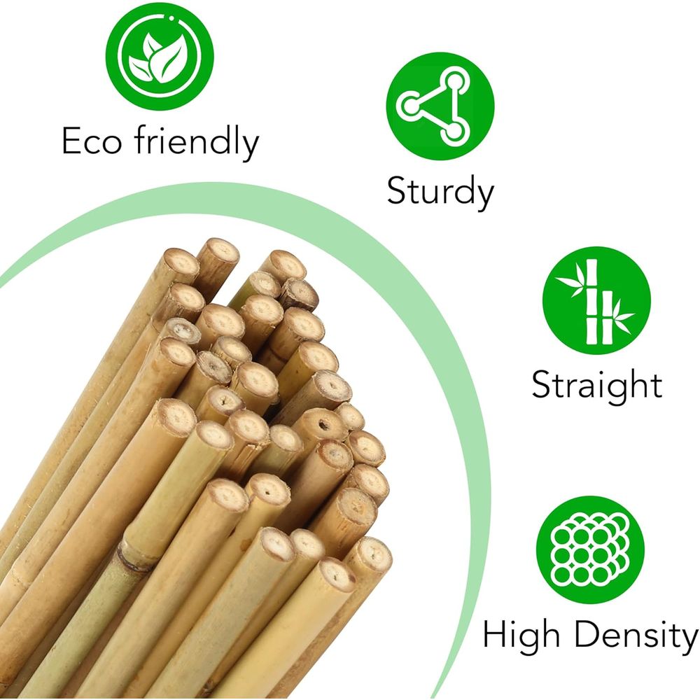 Set of 55 Bamboo Plant Stakes  - Plant Support Stake 评论和价格
