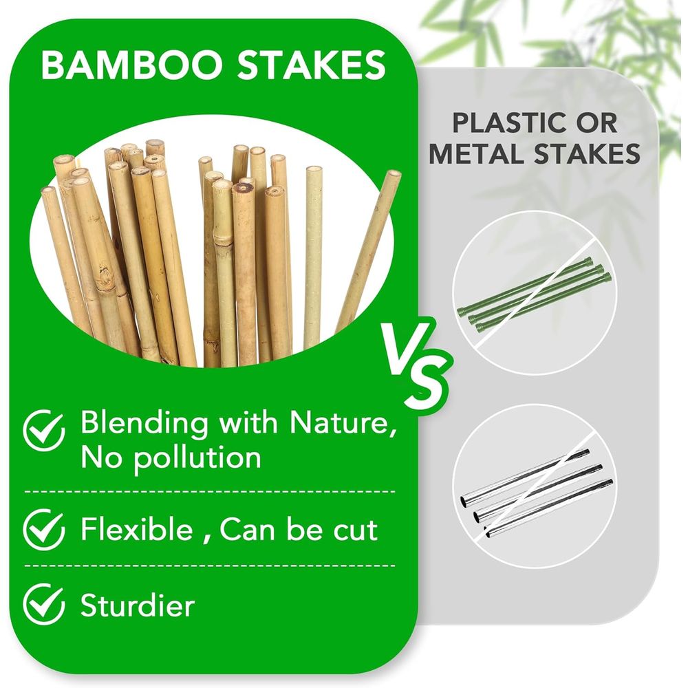 Set of 55 Bamboo Plant Stakes  - Plant Support Stake 评论和价格