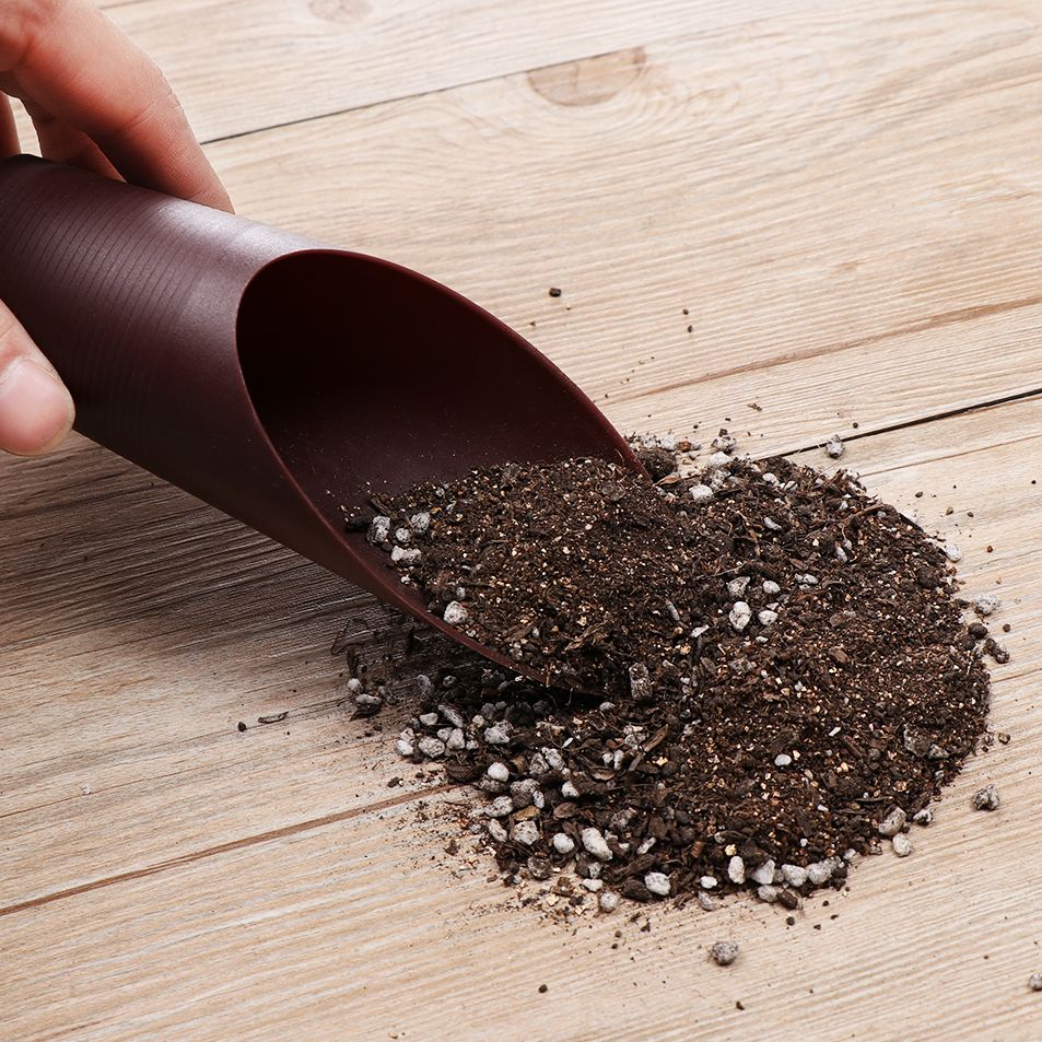 1PC Plastic Soil Shovel Cup Fo - Gardening Tools Shovel 评论和价格