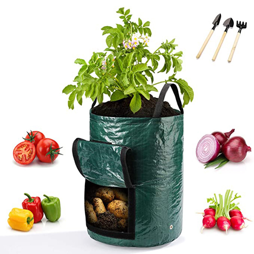 1pc 10-Gallon Grow Bags For Ve - Outdoor Planting Bag 评论和价格